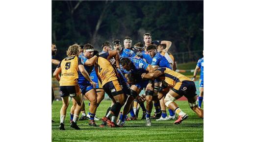 Brumbies superó a Western Force y lidera el torneo