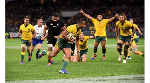 Se suspendió la Bledisloe Cup en Melbourne 