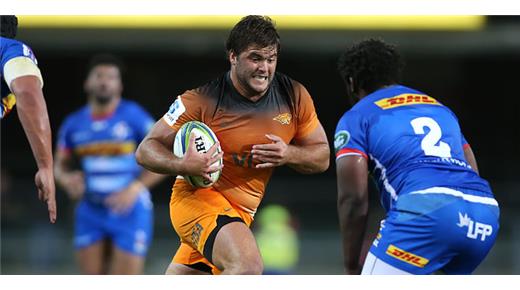 Tres nuevos argentinos jugarán en Western Force