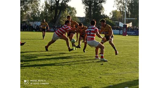 Alumni ganó y se recuperó de la derrota de la semana pasada 