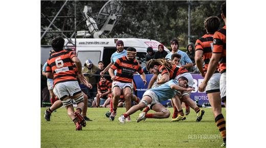 LAS FOTOS DEL PARTIDO ENTRE OLIVOS Y SAN PATRICIO