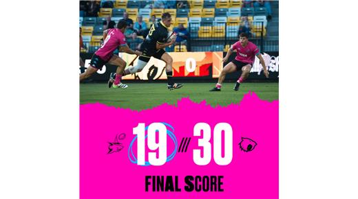 MIAMI SHARKS Y UNA NUEVA DERROTA 