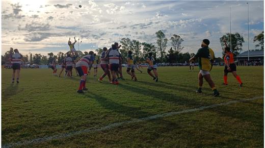 TIGRE VENCIÓ A LAS CAÑAS EN UN GRAN PARTIDO Y SIGUE SIENDO PUNTERO