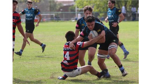 LOS RESULTADOS DEL TOP 10 CUYANO  