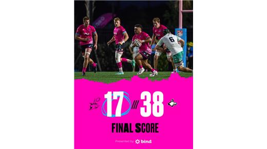 MIAMI SHARKS VOLVIÓ A CAER Y SUFRIÓ UNA NUEVA DERROTA 