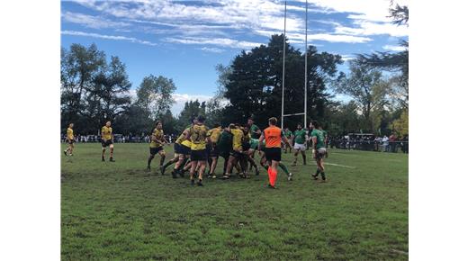 TRIUNFO HISTÓRICO DE HURLING ANTE LA PLATA 