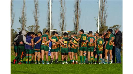 VIRREYES GOLEÓ Y SE MANTIENE EN ZONA DE PLAYOFFS 