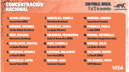 UNA NUEVA CONCENTRACIÓN DE LAS YAGUARETÉS, ESTA VEZ EN BRASIL 