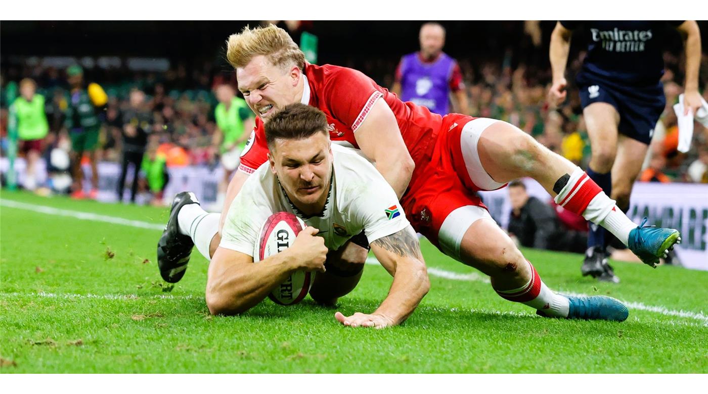 SUDÁFRICA GOLEÓ A GALES PARA CERRAR EL AÑO DE LA MEJOR MANERA